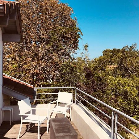 Hotel La Villa Saint-Pierre-dʼIrube Zewnętrze zdjęcie