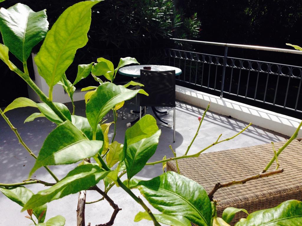 Hotel La Villa Saint-Pierre-dʼIrube Zewnętrze zdjęcie